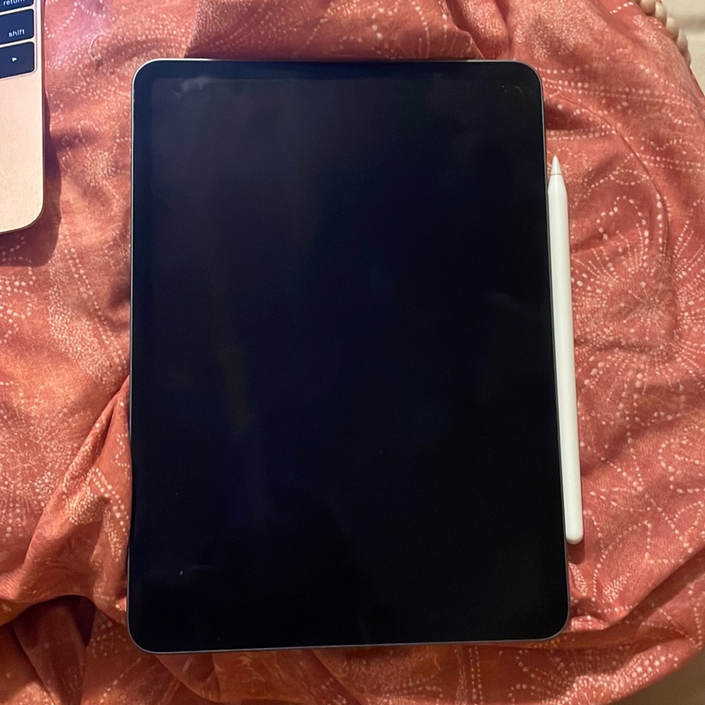 iPad Pro 11 inch 1st Gen with 2nd Gen Apple Pencil